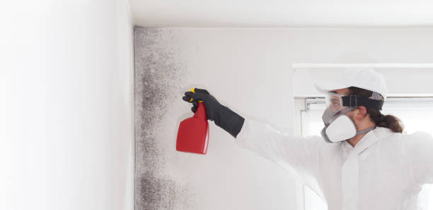Parksdale, CA Mold Remediation Company